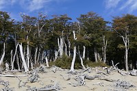 Hike De los Tres