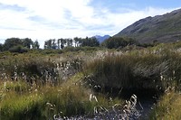 Hike De los Tres