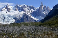 Hike Laguna Torre