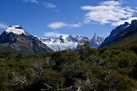 Hike Laguna Torre