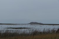 Laguna Nimez