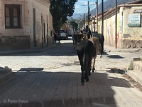 File in Tilcara