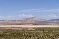 Nationaal Park Los Cardones