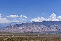 Nationaal Park Los Cardones