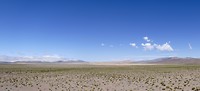 Nationaal Park Los Cardones