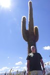 Cactusje