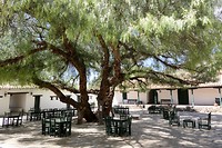 Hacienda de Molinos