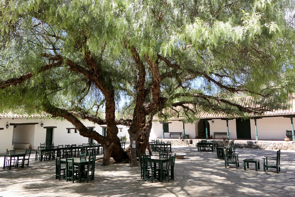 Hacienda de Molinos