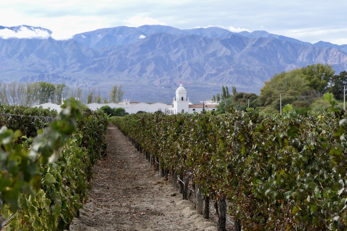 Bodega El Esteco