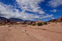Ruta 68: Valles Calchaquies