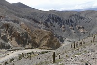 Onderweg nar San Antonio de los Cobres