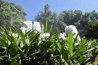 Iguazu watervallen