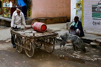 Ranthambore centrum