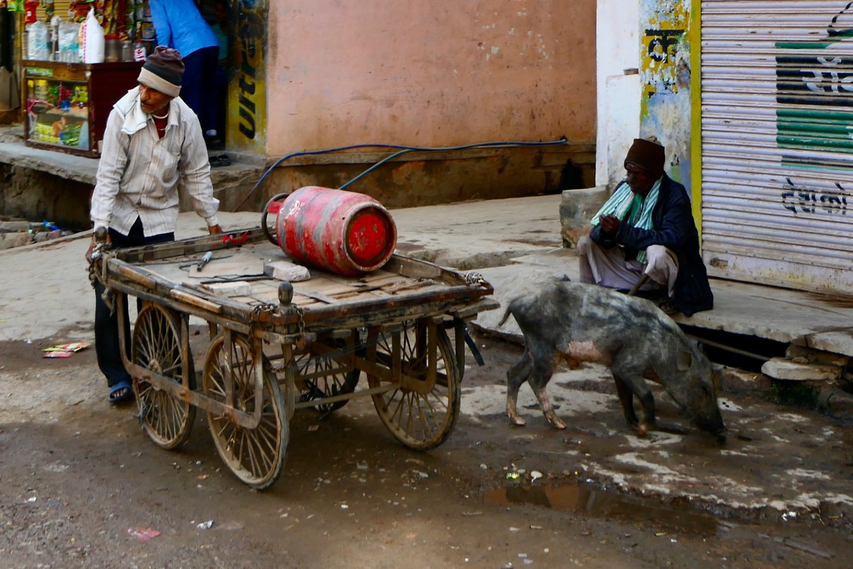 Ranthambore centrum