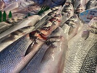 Malaga: Mercado Central de Atarazanas