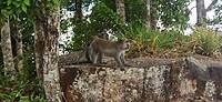 IMG-20230329-WA0015