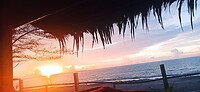 IMG_20230402_181653