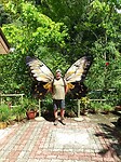 IMG_20230404_102030
