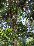 IMG_20230405_095647