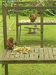 IMG_20230405_105106