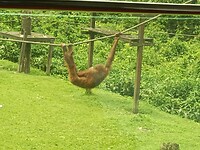 IMG_20230405_110547