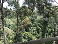 IMG_20230405_143908