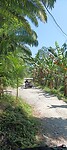IMG_20230410_104058