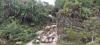 IMG_20230411_150838