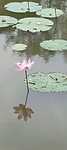 IMG_20230420_105313