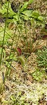 IMG_20230420_111247