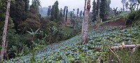 IMG_20230422_173952