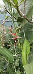 IMG_20230509_112310