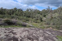 John Forrest National park
