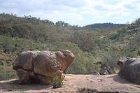 John Forrest National park
