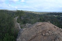John Forrest National park