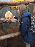 Possum aaien