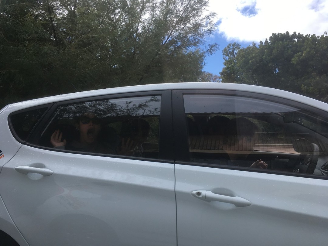 Met de auto