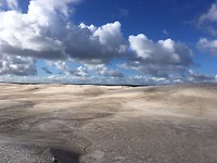 zandduinen
