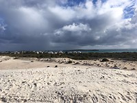 zandduinen