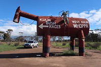 tin horse highway