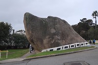 Dog rock