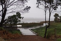 Fishtraps