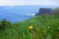 Cliffs of Moher
