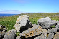 The Burren