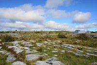 The Burren