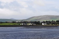 Dingle