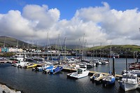 Dingle