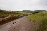 Ventry Beach
