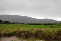 Ventry Beach