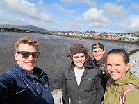 Dingle